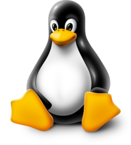 Linux, il sistema operativo Open Source